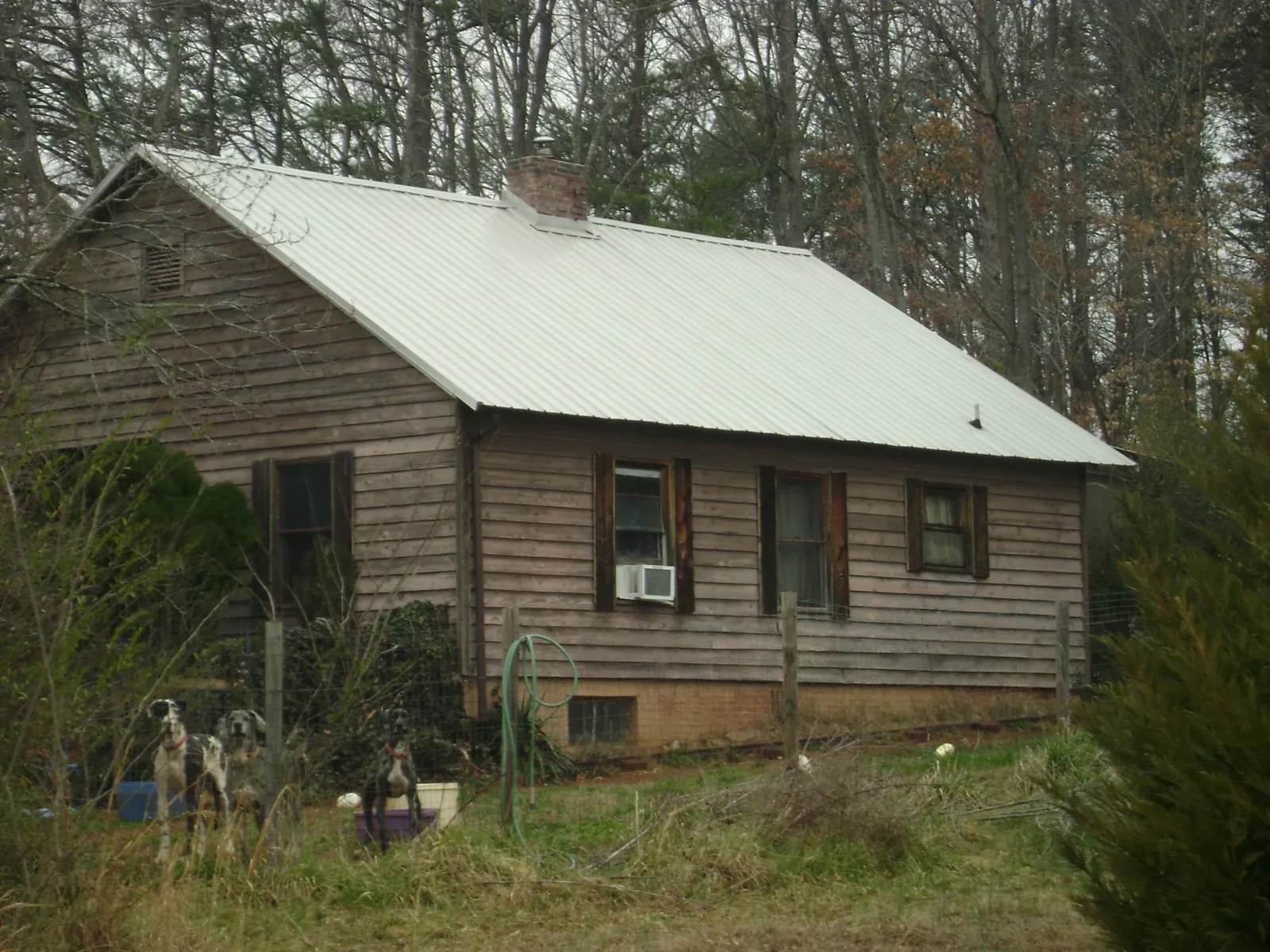 White metal roof on an old wood sided farmhouse, from a Asphalt Shingle Roof Repair job in Delton